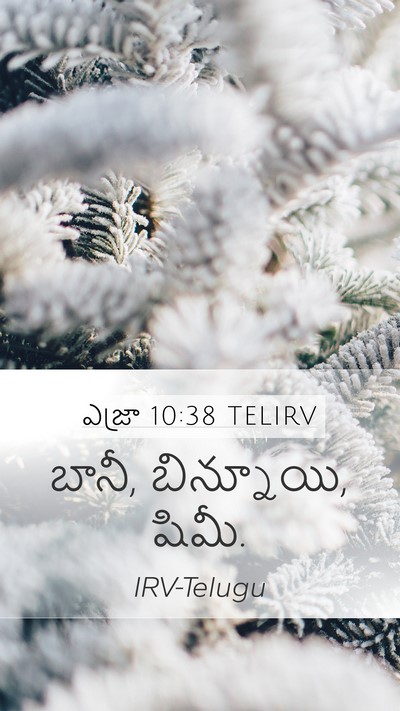 ఎజ్రా 10:38 TELIRV Mobile Phone Wallpaper - బానీ, బిన్నూయి, - Mobile Bible Verse Wallpaper
