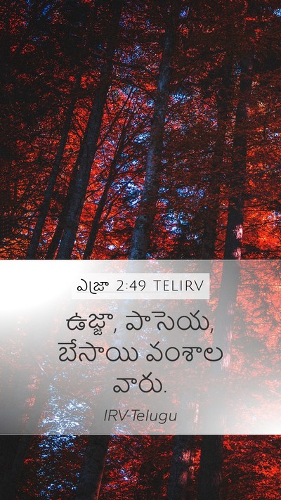 ఎజ్రా 2:49 TELIRV Bible Verse Image