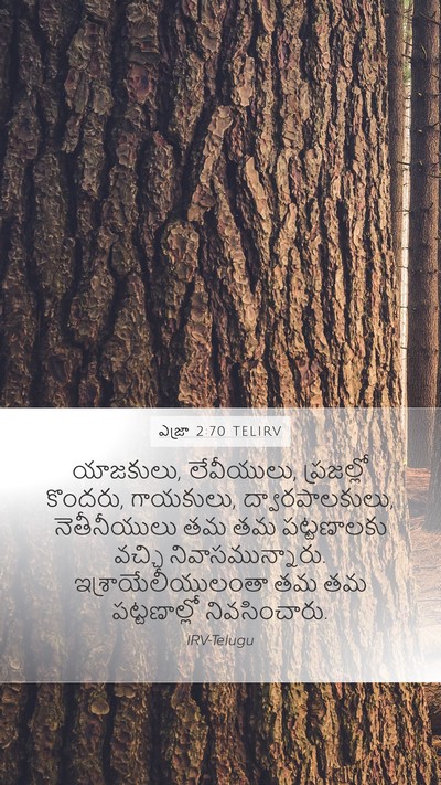 ఎజ్రా 2:70 TELIRV Mobile Phone Wallpaper - యాజకులు, లేవీయులు, - Mobile Bible Verse Wallpaper