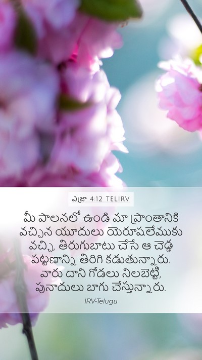 ఎజ్రా 4:12 TELIRV Bible Verse Image