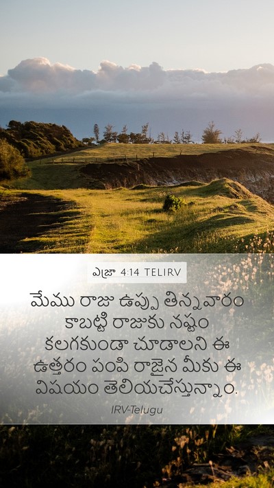 ఎజ్రా 4:14 TELIRV Mobile Phone Wallpaper - మేము రాజు ఉప్పు - Mobile Bible Verse Wallpaper