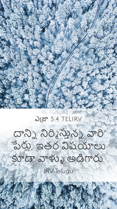 ఎజ్రా 5:4 TELIRV Mobile Phone Wallpaper - దాన్ని - Mobile Bible Verse Wallpaper
