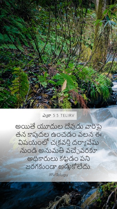 ఎజ్రా 5:5 TELIRV Bible Verse Image