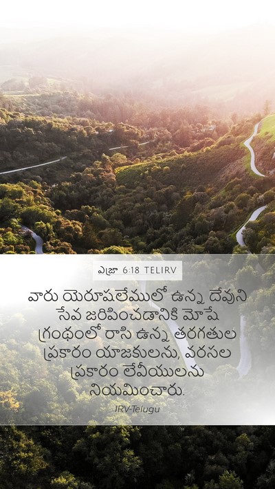 ఎజ్రా 6:18 TELIRV Bible Verse Image