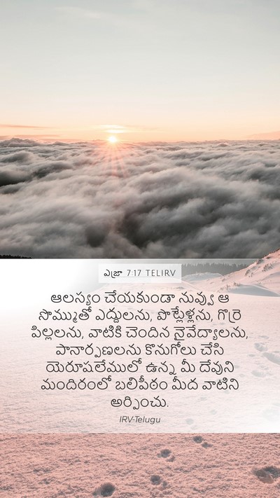 ఎజ్రా 7:17 TELIRV Bible Verse Image