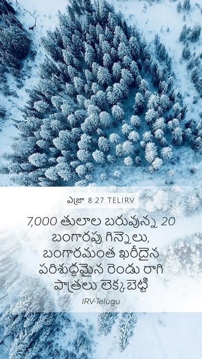 ఎజ్రా 8:27 TELIRV Bible Verse Image