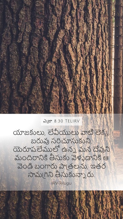 ఎజ్రా 8:30 TELIRV Mobile Phone Wallpaper - యాజకులు, లేవీయులు - Mobile Bible Verse Wallpaper