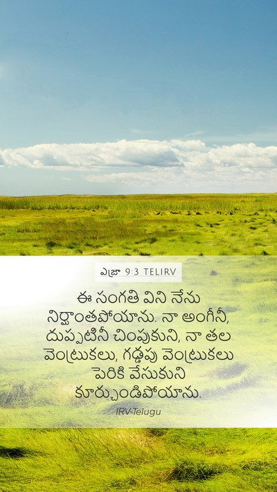 ఎజ్రా 9:3 TELIRV Bible Verse Image