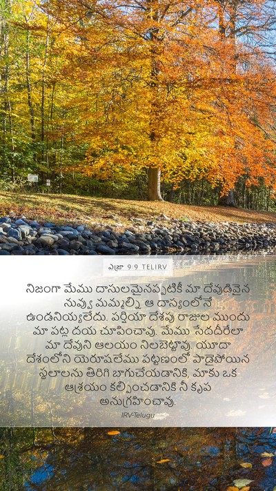 ఎజ్రా 9:9 TELIRV Bible Verse Image