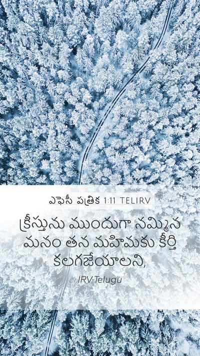 ఎఫెసీ పత్రిక 1:11 TELIRV Bible Verse Image