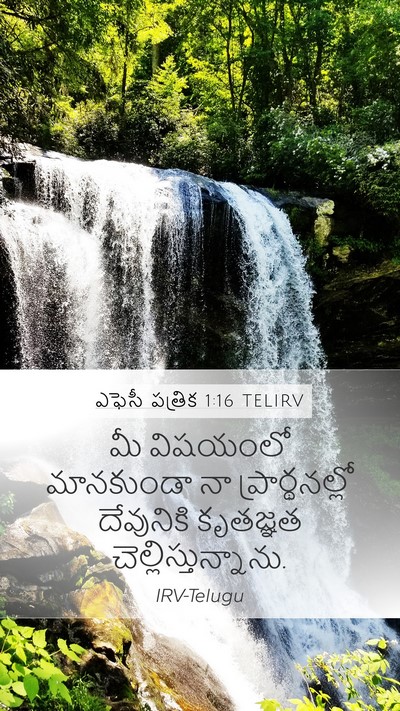 ఎఫెసీ పత్రిక 1:16 TELIRV Bible Verse Image