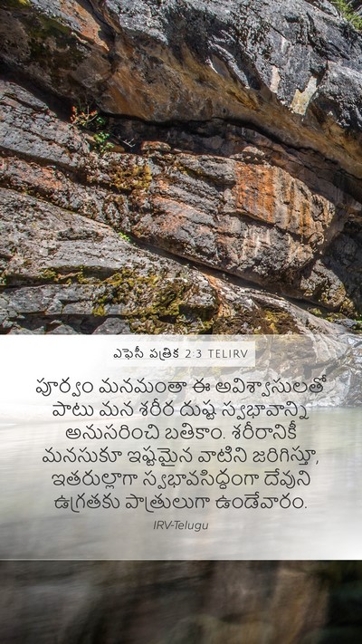 ఎఫెసీ పత్రిక 2:3 TELIRV Bible Verse Image