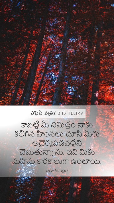 ఎఫెసీ పత్రిక 3:13 TELIRV Bible Verse Image