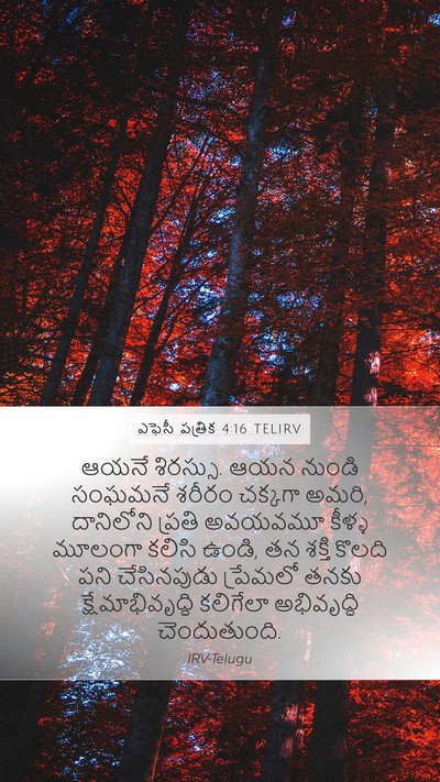 ఎఫెసీ పత్రిక 4:16 TELIRV Bible Verse Image