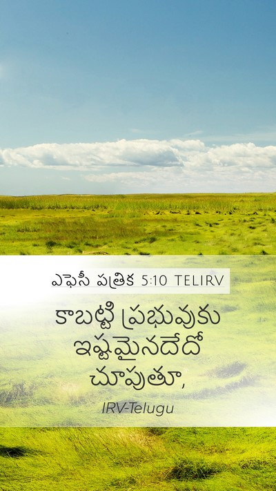 ఎఫెసీ పత్రిక 5:10 TELIRV Bible Verse Image