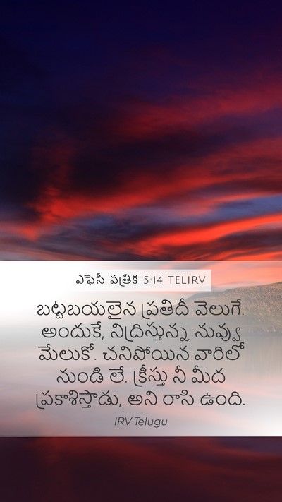 ఎఫెసీ పత్రిక 5:14 TELIRV Bible Verse Image