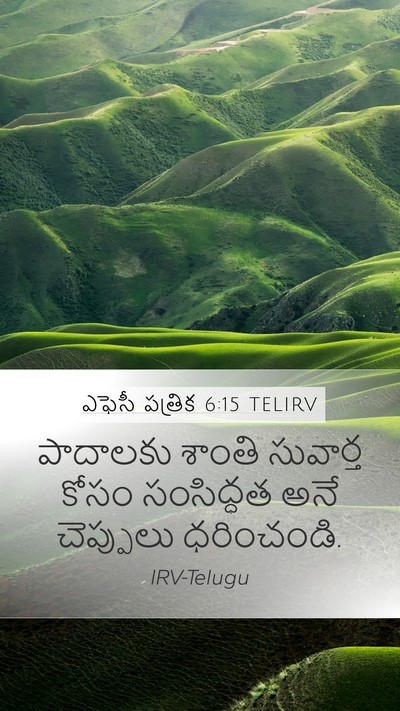 ఎఫెసీ పత్రిక 6:15 TELIRV Bible Verse Image