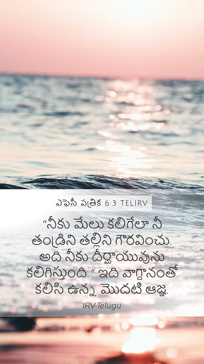 ఎఫెసీ పత్రిక 6:3 TELIRV Bible Verse Image