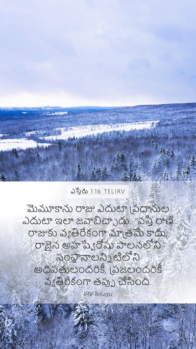 ఎస్తేరు 1:16 TELIRV Mobile Phone Wallpaper - మెమూకాను రాజు - Mobile Bible Verse Wallpaper