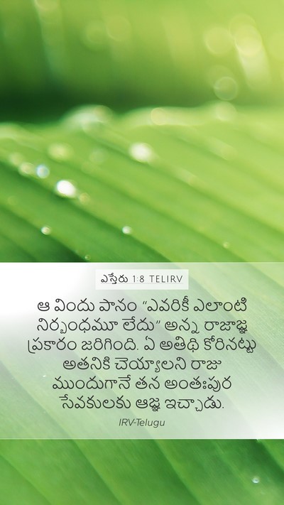 ఎస్తేరు 1:8 TELIRV Mobile Phone Wallpaper - ఆ విందు పానం - Mobile Bible Verse Wallpaper