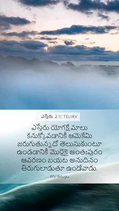 ఎస్తేరు 2:11 TELIRV Mobile Phone Wallpaper - ఎస్తేరు - Mobile Bible Verse Wallpaper