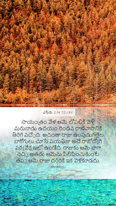 ఎస్తేరు 2:14 TELIRV Bible Verse Image