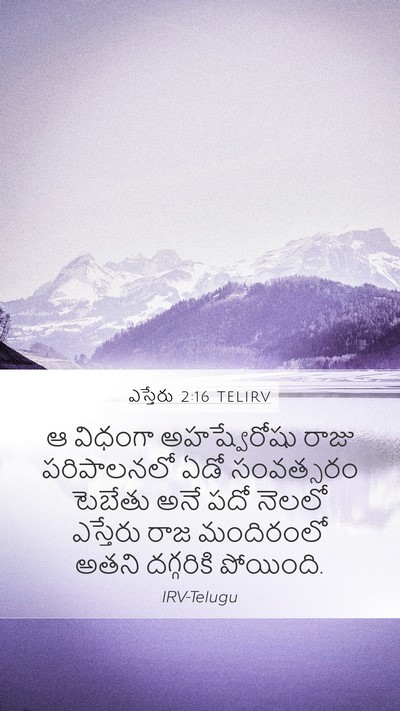 ఎస్తేరు 2:16 TELIRV Bible Verse Image