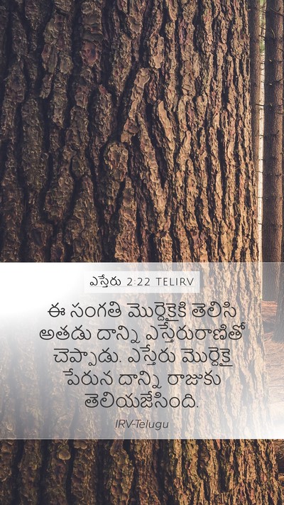 ఎస్తేరు 2:22 TELIRV Mobile Phone Wallpaper - ఈ సంగతి - Mobile Bible Verse Wallpaper