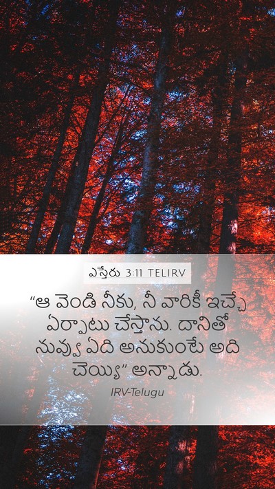 ఎస్తేరు 3:11 TELIRV Mobile Phone Wallpaper - “ఆ వెండి నీకు, నీ - Mobile Bible Verse Wallpaper