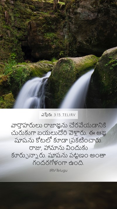 ఎస్తేరు 3:15 TELIRV Bible Verse Image