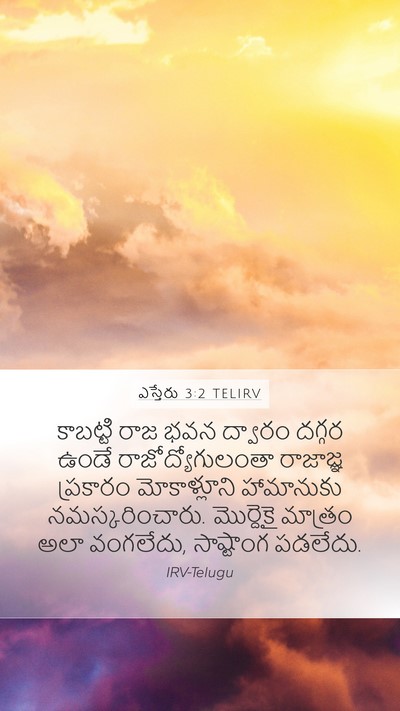 ఎస్తేరు 3:2 TELIRV Bible Verse Image