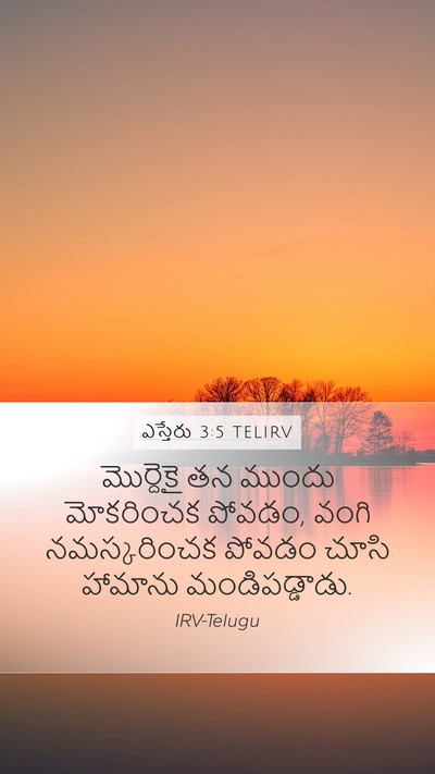 ఎస్తేరు 3:5 TELIRV Bible Verse Image