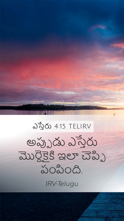 ఎస్తేరు 4:15 TELIRV Bible Verse Image