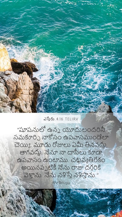 ఎస్తేరు 4:16 TELIRV Mobile Phone Wallpaper - “షూషనులో ఉన్న - Mobile Bible Verse Wallpaper