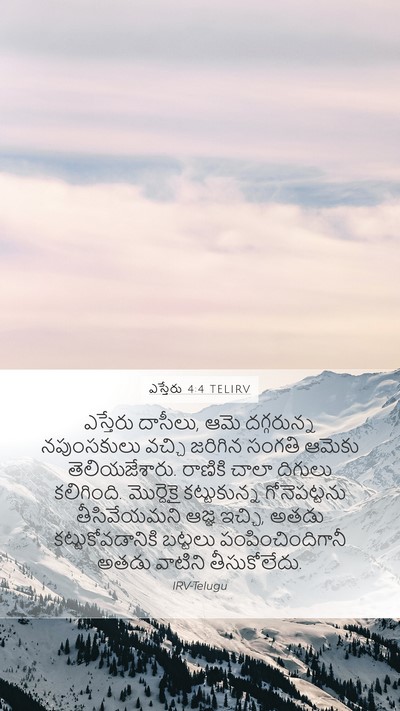 ఎస్తేరు 4:4 TELIRV Bible Verse Image