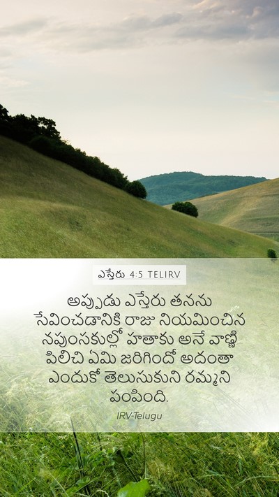 ఎస్తేరు 4:5 TELIRV Mobile Phone Wallpaper - అప్పుడు ఎస్తేరు - Mobile Bible Verse Wallpaper