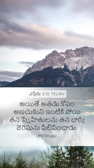ఎస్తేరు 5:10 TELIRV Mobile Phone Wallpaper - అయితే అతడు కోపం - Mobile Bible Verse Wallpaper