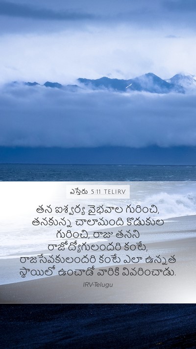 ఎస్తేరు 5:11 TELIRV Bible Verse Image