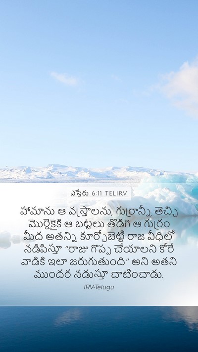 ఎస్తేరు 6:11 TELIRV Bible Verse Image