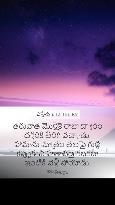 ఎస్తేరు 6:12 TELIRV Bible Verse Image