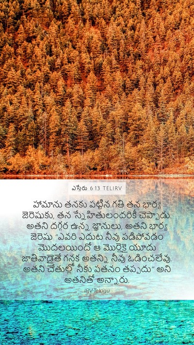ఎస్తేరు 6:13 TELIRV Bible Verse Image