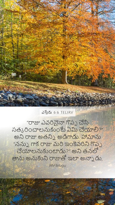 ఎస్తేరు 6:6 TELIRV Mobile Phone Wallpaper - “రాజు ఎవరినైనా - Mobile Bible Verse Wallpaper