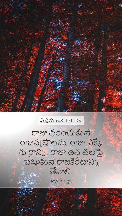 ఎస్తేరు 6:8 TELIRV Bible Verse Image
