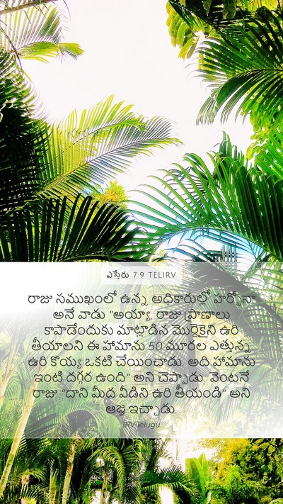 ఎస్తేరు 7:9 TELIRV Mobile Phone Wallpaper - రాజు సముఖంలో ఉన్న - Mobile Bible Verse Wallpaper