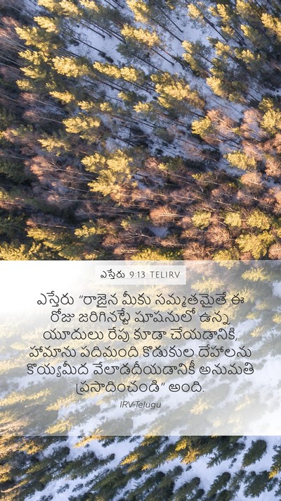ఎస్తేరు 9:13 TELIRV Bible Verse Image