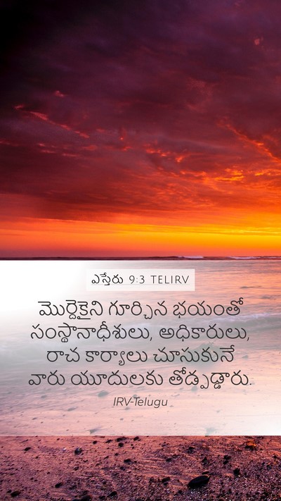 ఎస్తేరు 9:3 TELIRV Mobile Phone Wallpaper - మొర్దెకైని - Mobile Bible Verse Wallpaper