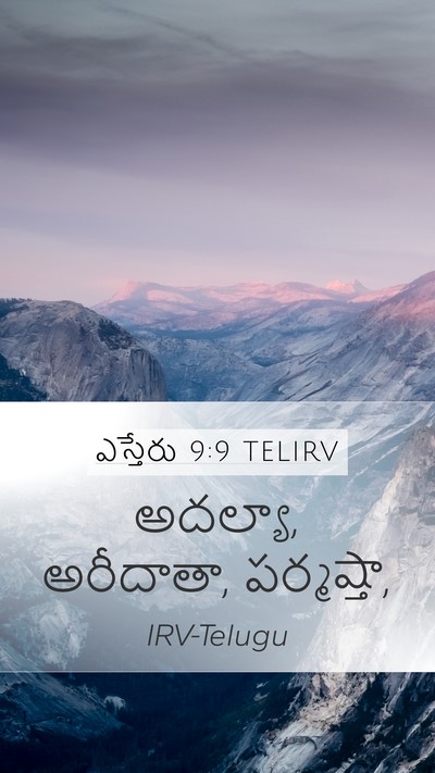 ఎస్తేరు 9:9 TELIRV Mobile Phone Wallpaper - అదల్యా, అరీదాతా, - Mobile Bible Verse Wallpaper