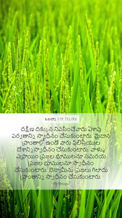 ఓబద్యా 1:19 TELIRV Mobile Phone Wallpaper - దక్షిణ దిక్కున - Mobile Bible Verse Wallpaper