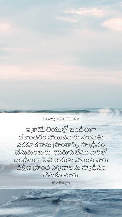 ఓబద్యా 1:20 TELIRV Bible Verse Image