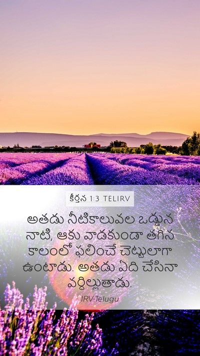 కీర్తన 1:3 TELIRV Bible Verse Image